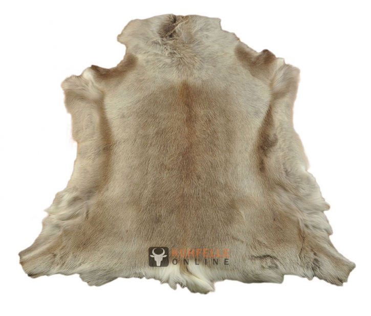 Rentierfell hellbraun weiss 120 x 105 cm Deko-Fell