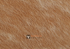 EXOTISCHES KUHFELL BRAUN 200 x 180 cm 