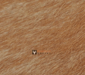 EXOTISCHES KUHFELL BRAUN 210 x 195 