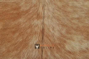 EXOTISCHES KUHFELL BRAUN GETIGERT 210 x 200 cm