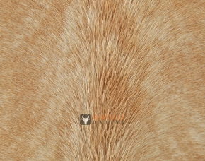 EXOTISCHES KUHFELL STIERFELL 235 x 200 BRAUN GETIGERT