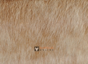 EXOTISCHES KUHFELL STIERFELL 235 x 200 BRAUN GETIGERT