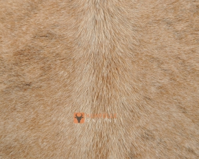 EXOTISCHES KUHFELL STIERFELL GRAU BRAUN GETIGERT 240 x 200 cm