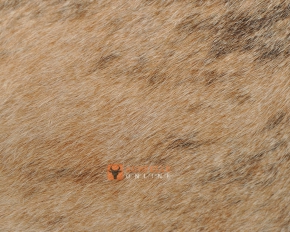 EXOTISCHES KUHFELL STIERFELL GRAU BRAUN GETIGERT 240 x 200 cm