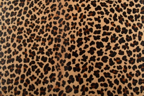 KUHFELL TEPPICH MIT LEOPARDEN PRIND  200 x 190 cm