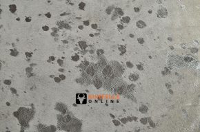 Kuhfell weiss mit silbernen Sprenkeln 200 x 200 cm