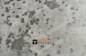 Kuhfell weiss mit silber Sprenkel 205 x 190 cm