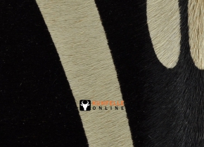 KUHFELL Zebra Print  180 x 190 cm